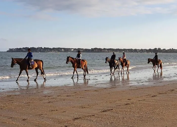 Bulle De Fraicheur - Confort Sur La Apartment